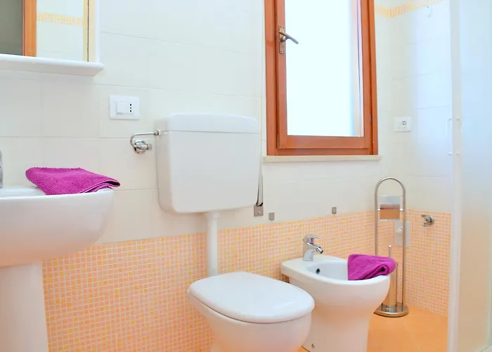 Sovego ביביונה